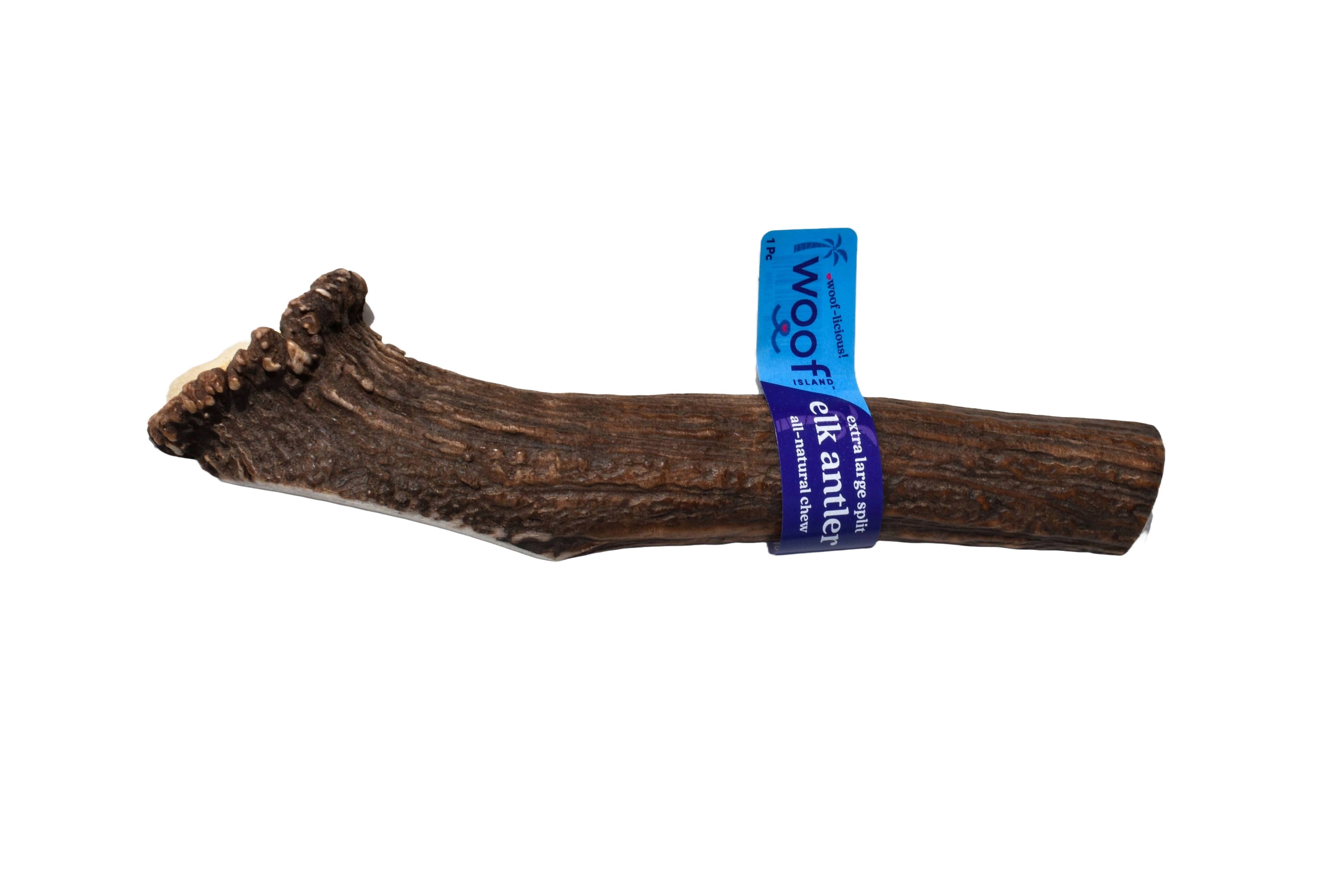 Elk Antler (XL) - Split: Single