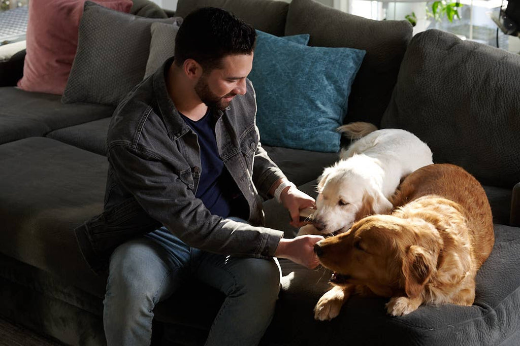 Elk Antler (Large) - Split: Single