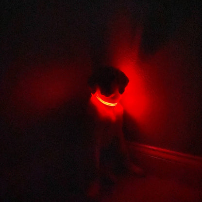 LED Dog Collar: Green