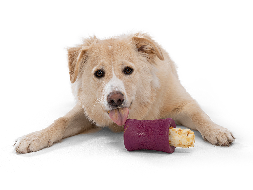 Funnl™ Dog Chew Treat-Dispensing Dog Toy