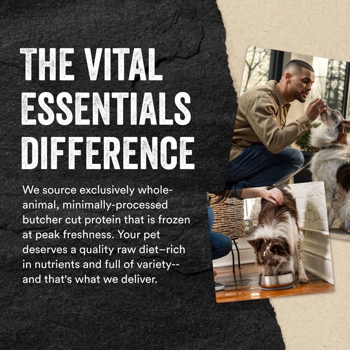 Vital Essentials Freeze-Dried Raw Chicken Breast Dog Treats