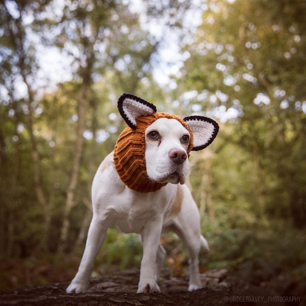 Fox Dog Snood