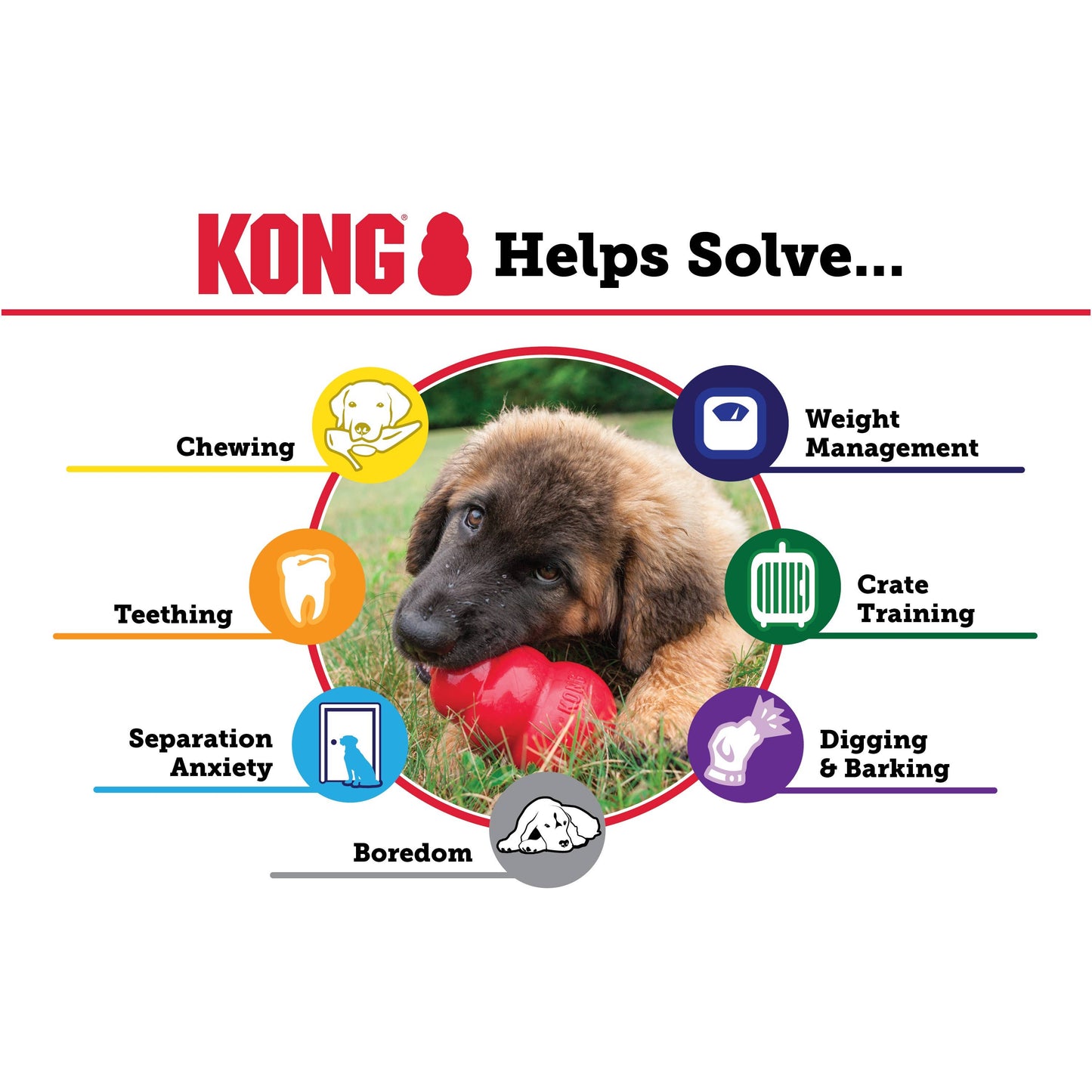 KONG® Classic Dog Chew Toy Medium