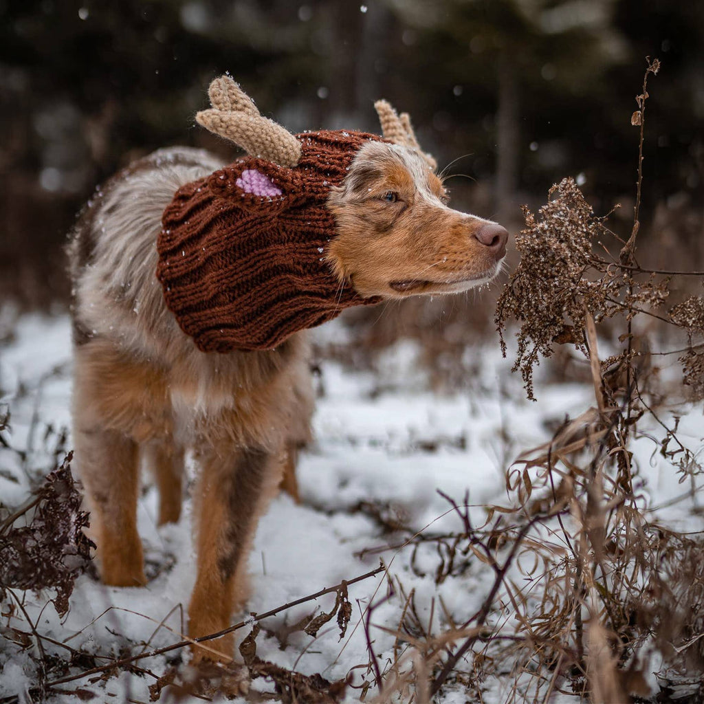 Reindeer Dog Snood