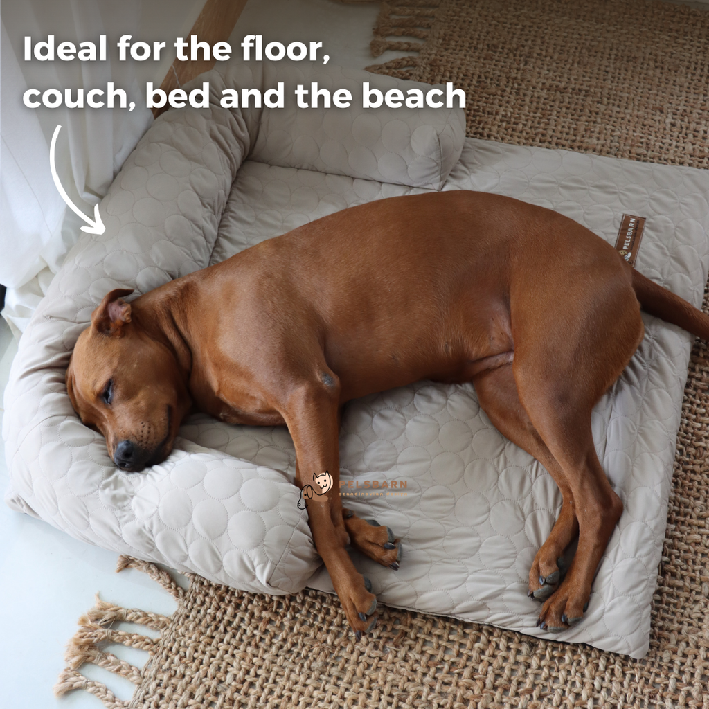 Cooling Dog Bed Heat Relief - Pelsbarn : Beige / M/L