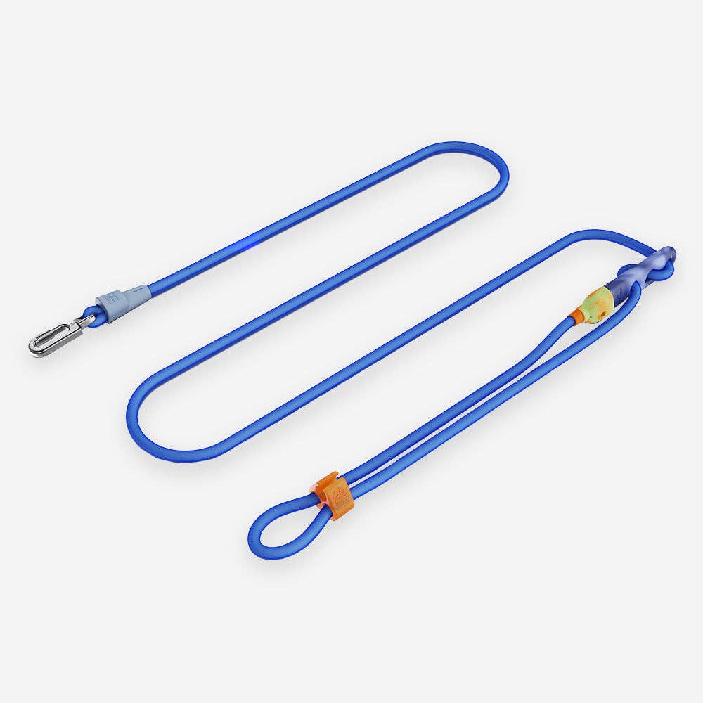 Sapphire | Neopro Hands-Free Leash