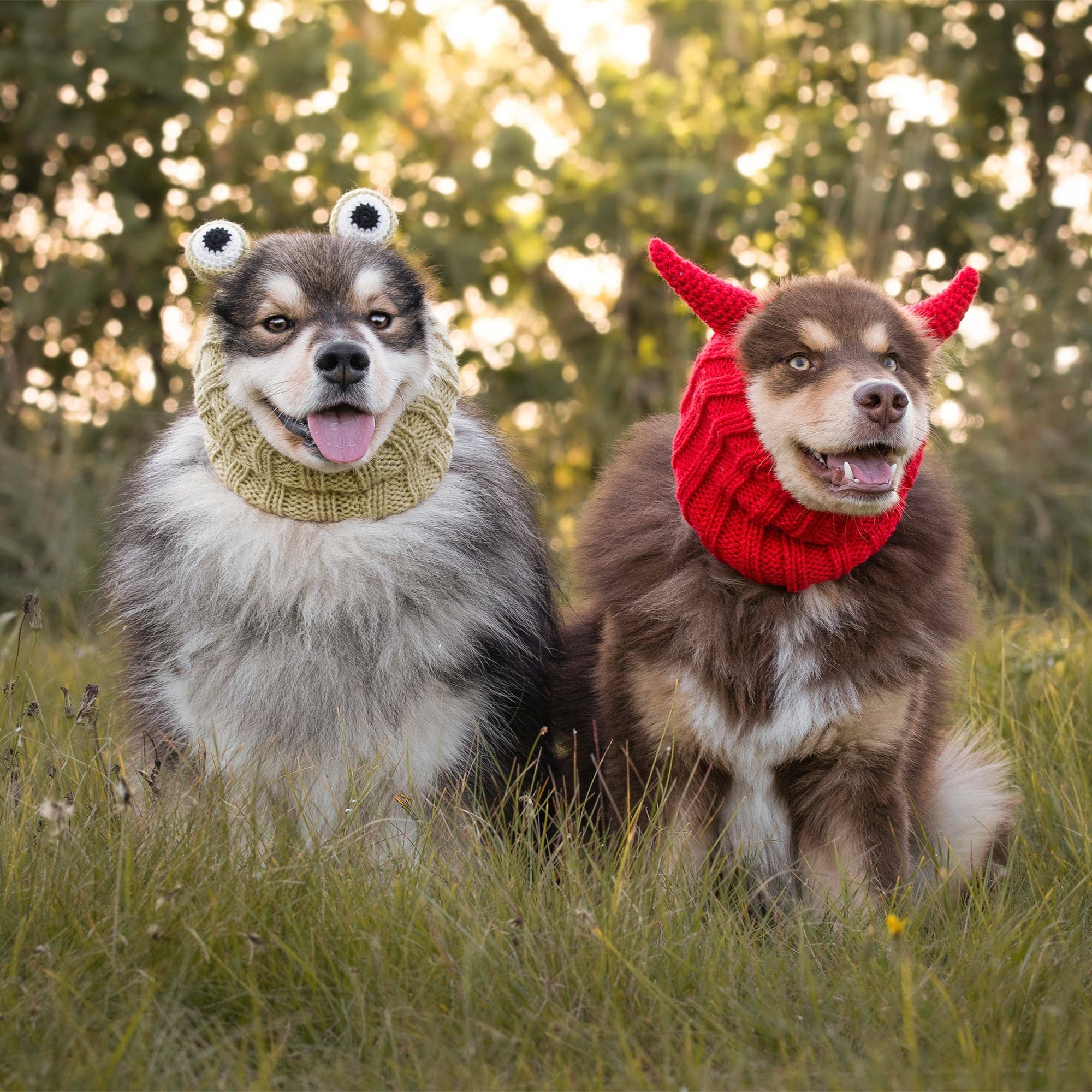 Frog Dog Snood