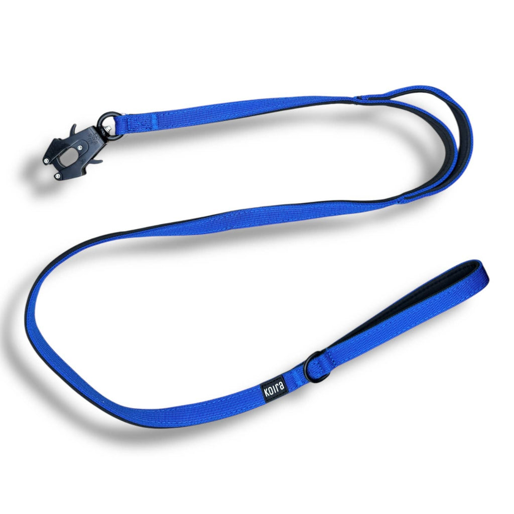 Smaller Size - Blue Dual-Handle 4 ft Dog Leash