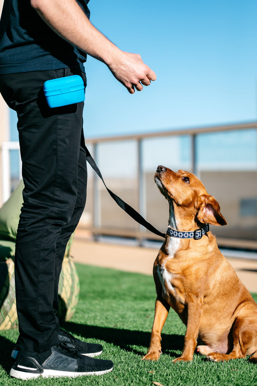 Pooch Pouch™: Light Gray