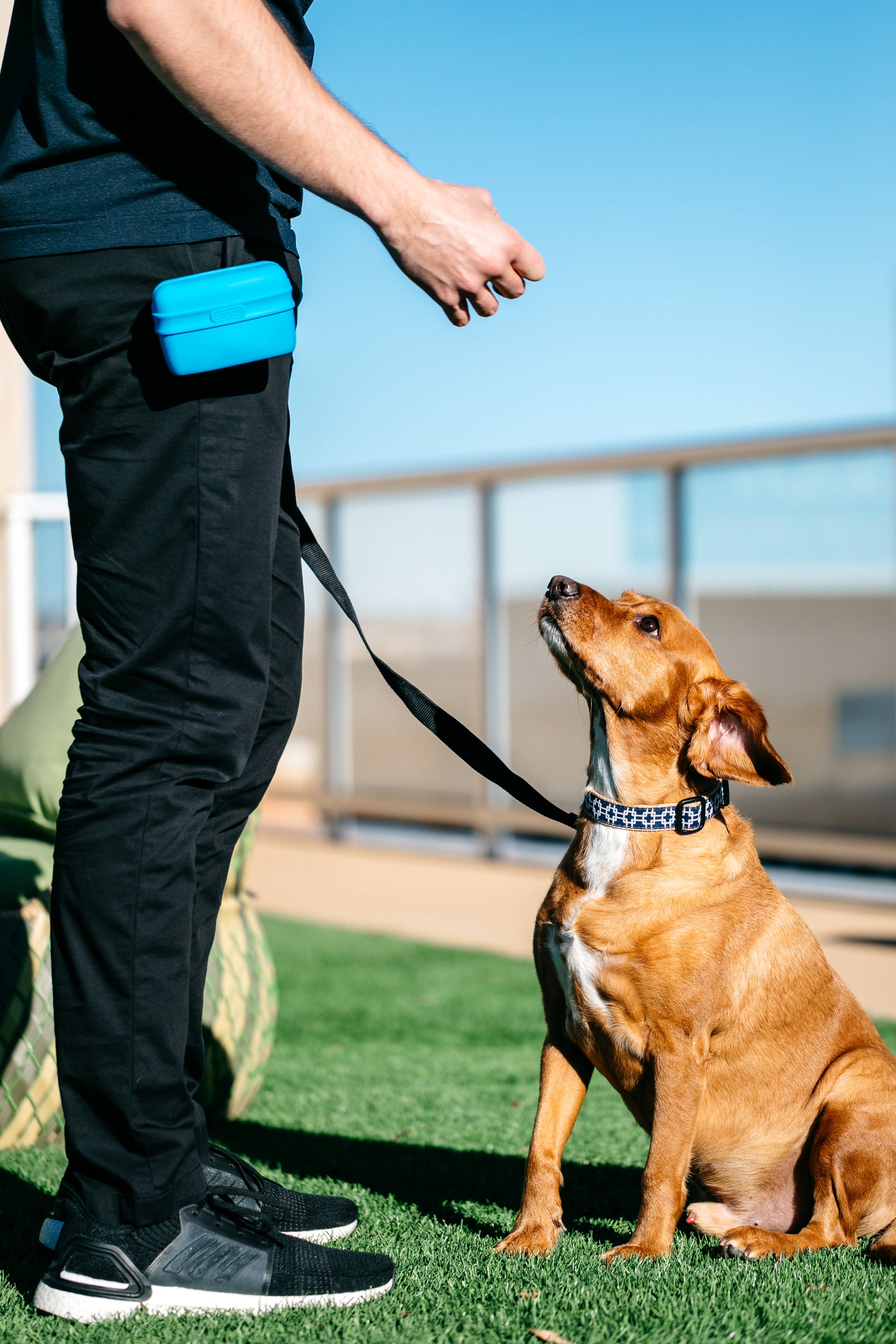 Pooch Pouch™: Light Gray