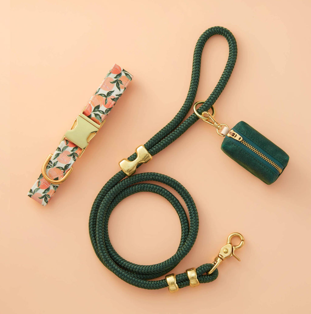 Peaches and Cream Dog Collar: S/ Gold