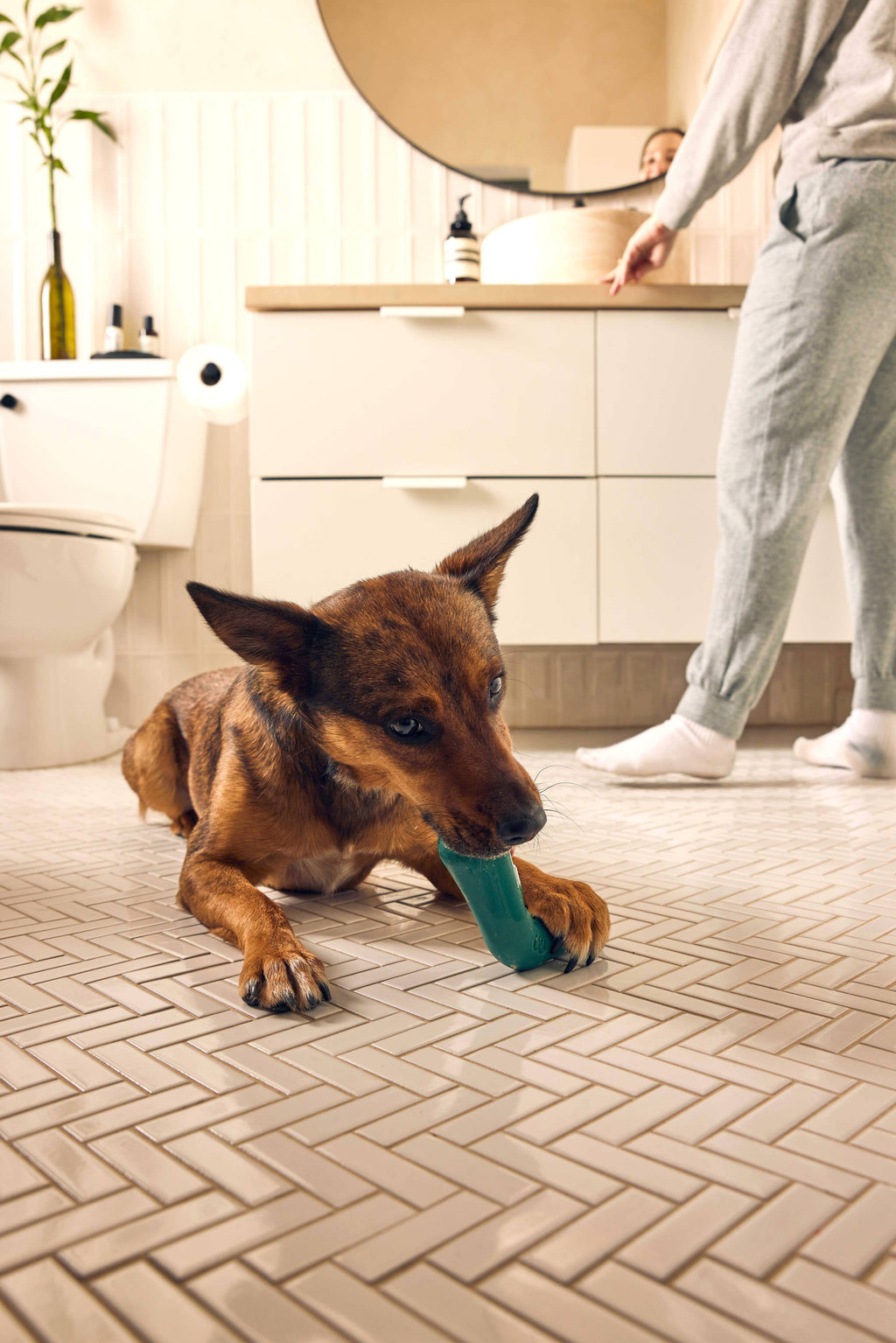 The Bite n' Brush: Small