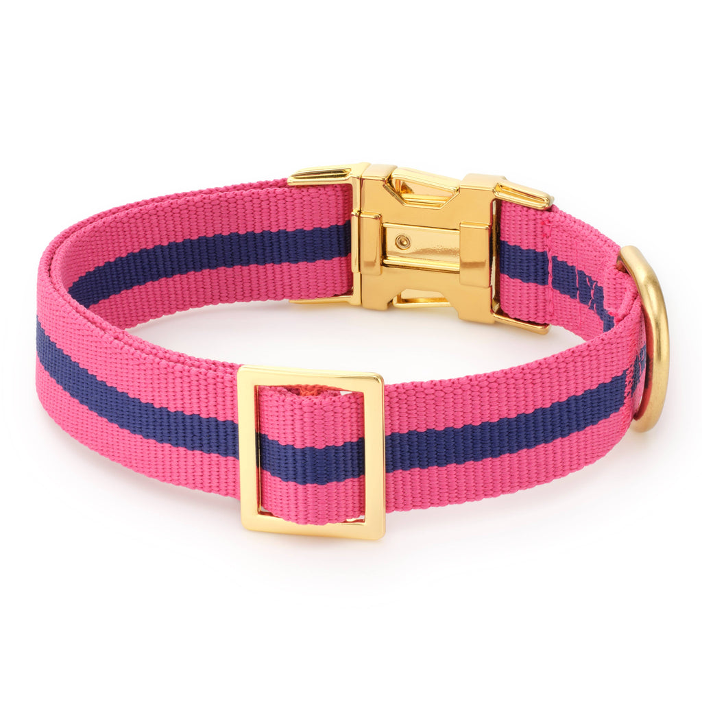 Sloane Striped Webbing Dog Collar
