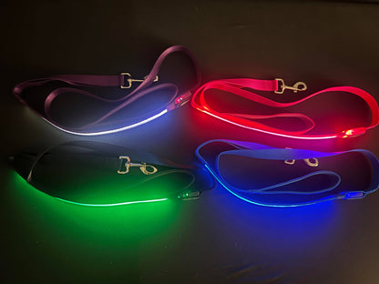 Light Up LED Dog Leash: Green