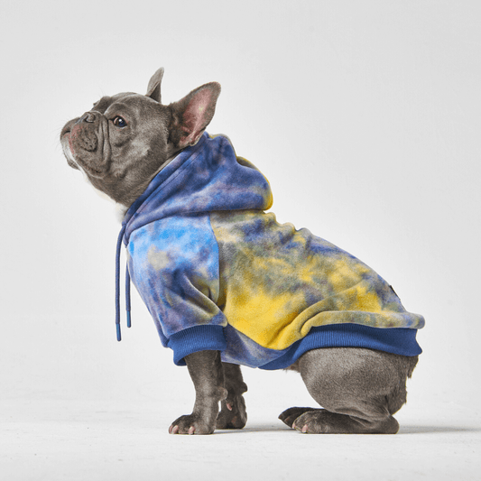 Velvet Dog Hoodie - Nova