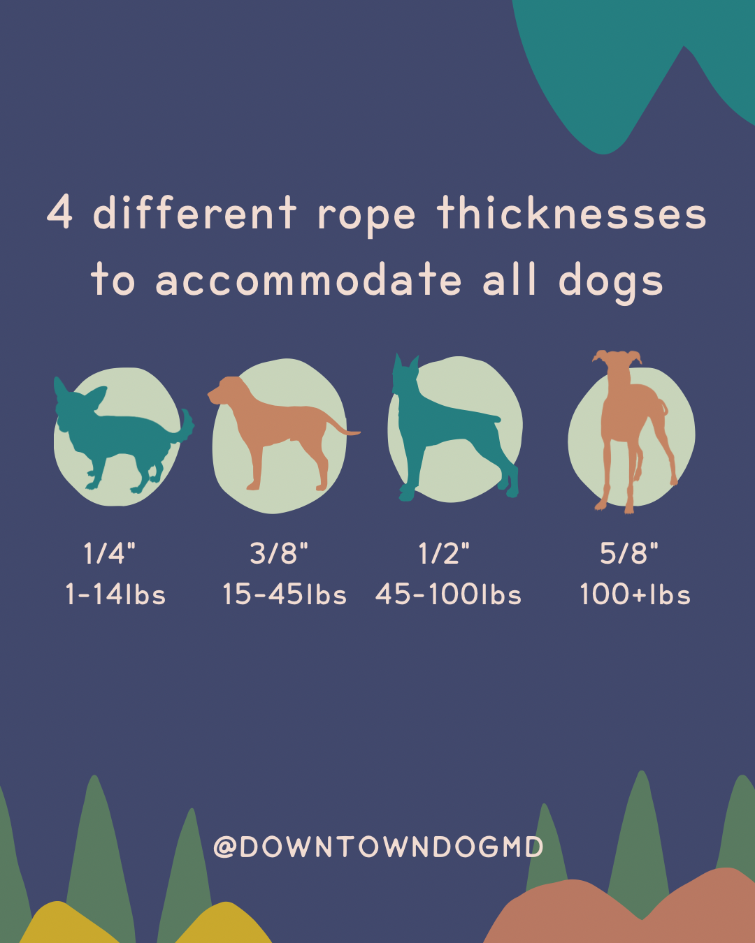 Powder Pink Leash: 4 Feet / Solid / 3/8 Inch