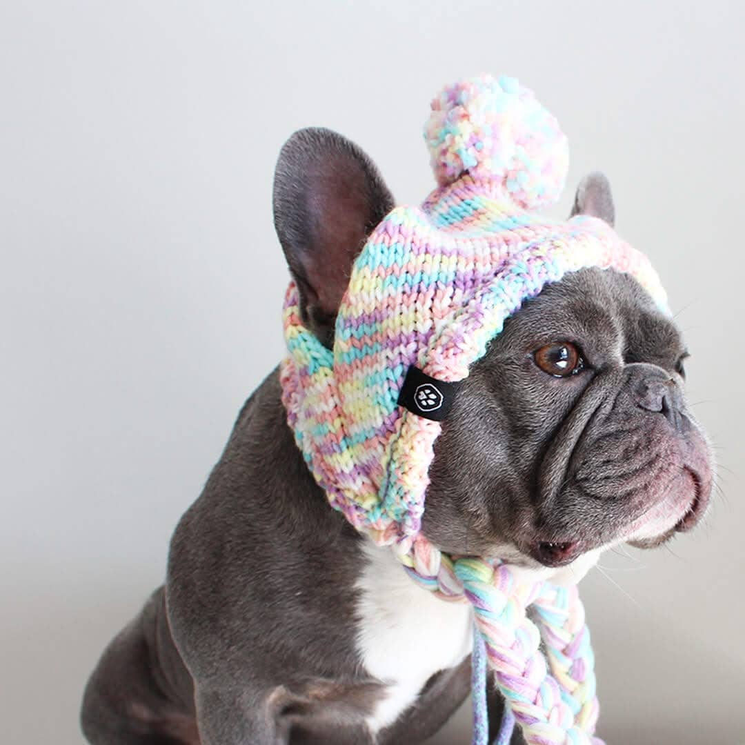 Knit Pom Pom Dog Beanie Hat - Pastel Icing: M (15-45lbs/7-20kg)