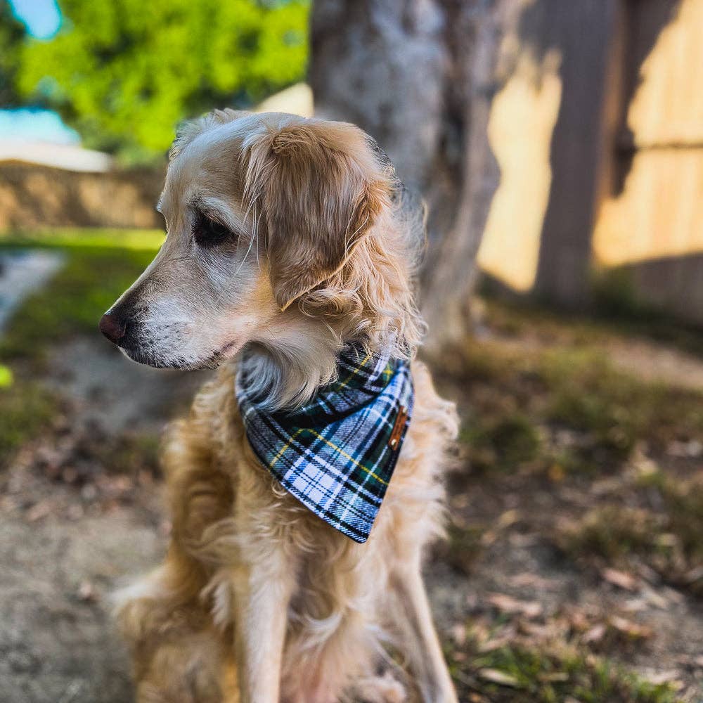 Colden Snap on Bandana