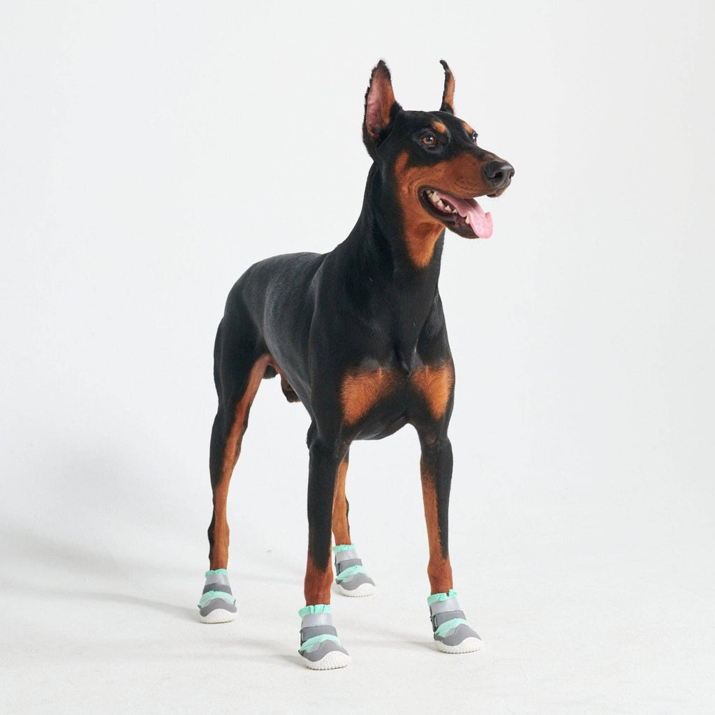 Hot Pavement Pawtector Dog Shoes - Teal: D (7.1cm-8.0cm / 2.8"-3.1")