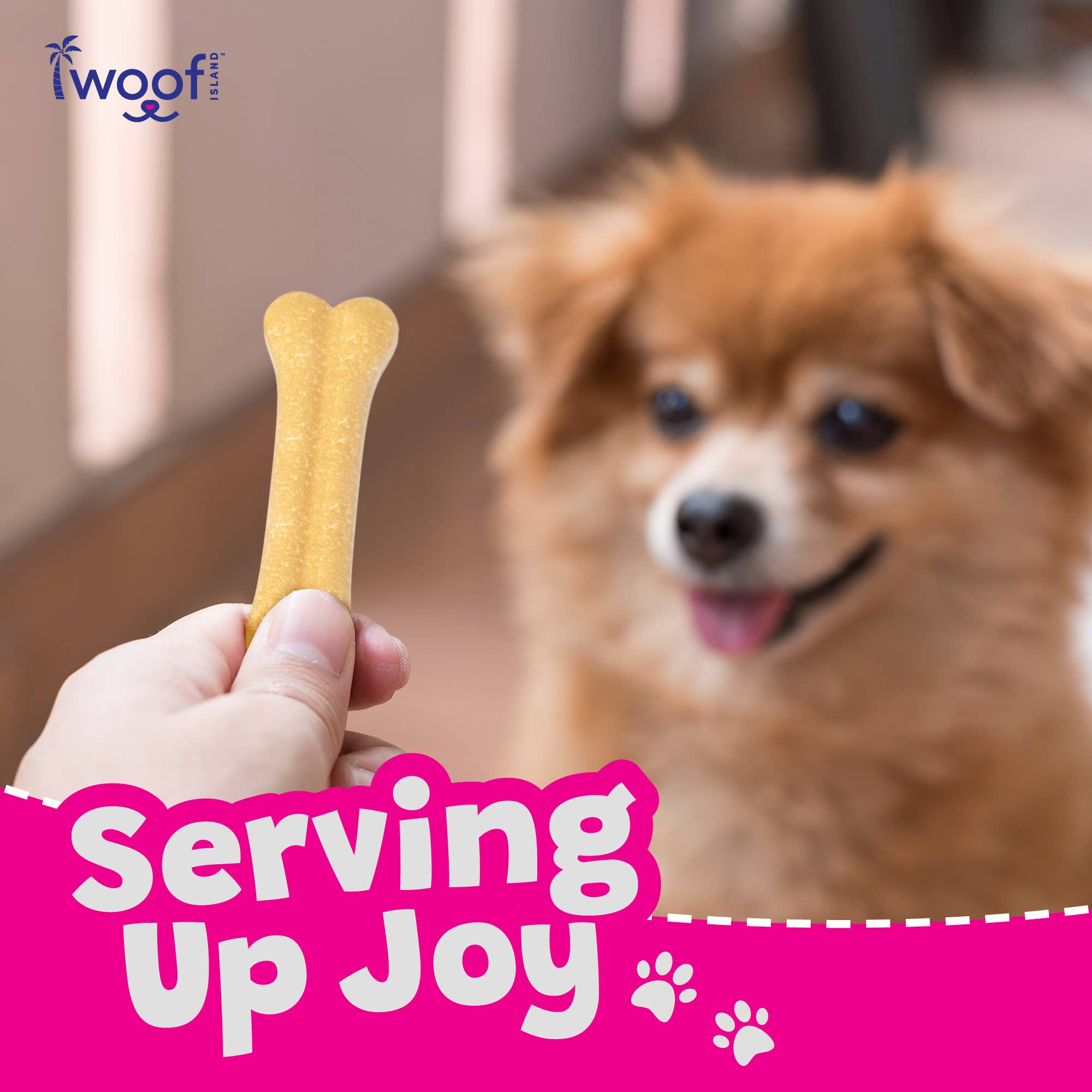 Coconut Dog Bones Premium Treats 2 Count: Single Bag