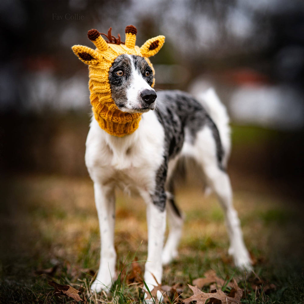 Giraffe Dog Snood