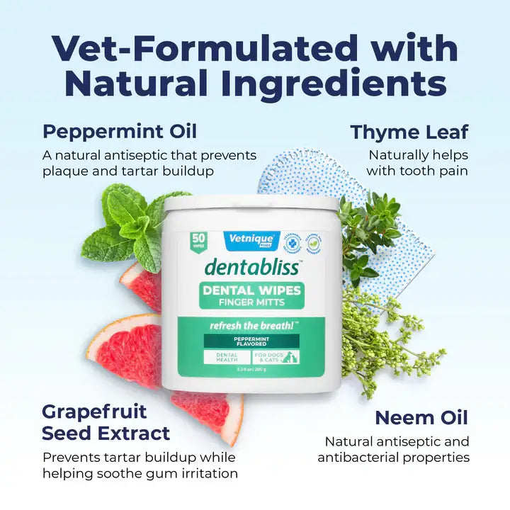 Glandex Dentabliss Breath Freshening Finger Mitt 50ct