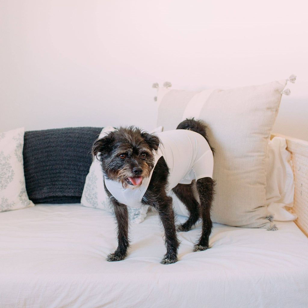 Shed Defender Recovery Onesie: Black