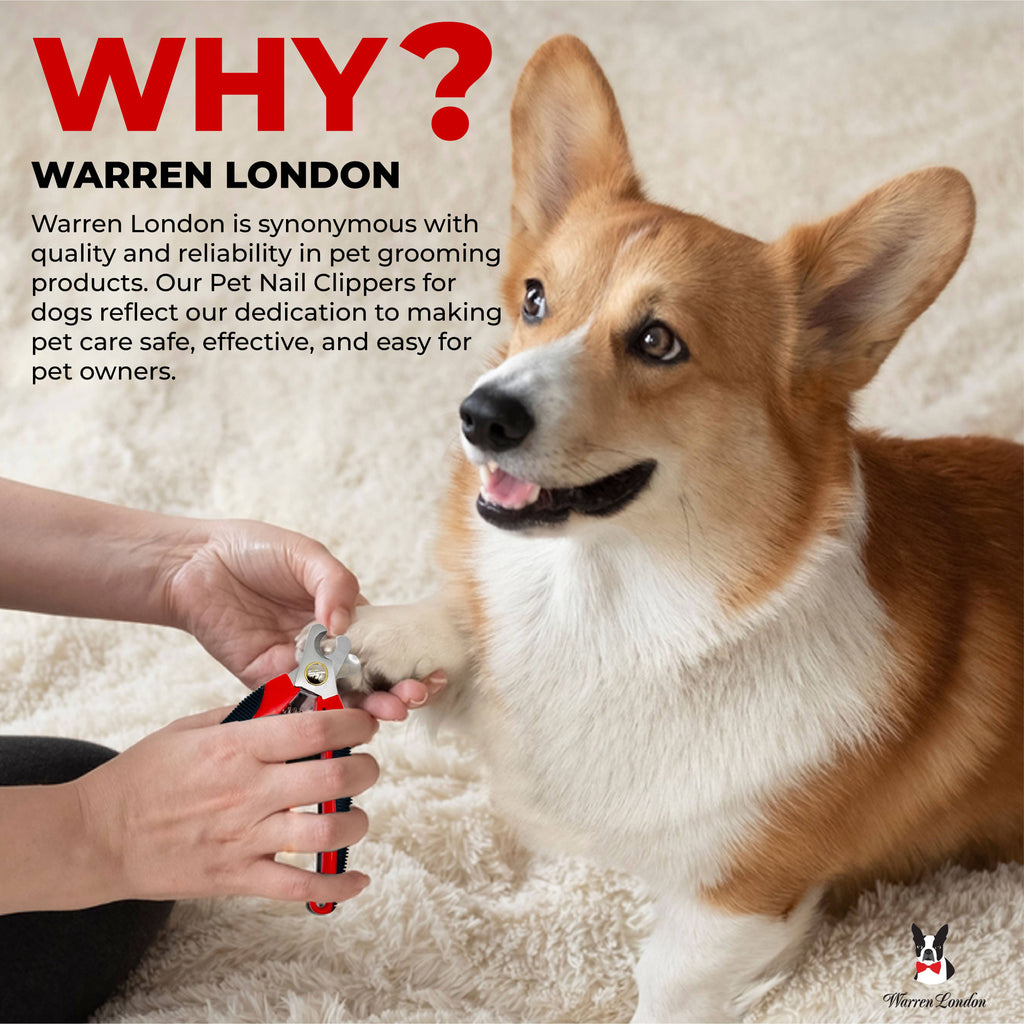 Warren London Dog Nail Clippers – For All Dog Sizes