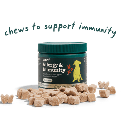 Allergy & Immunity Chews