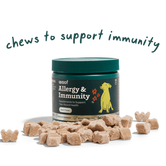 Allergy & Immunity Chews