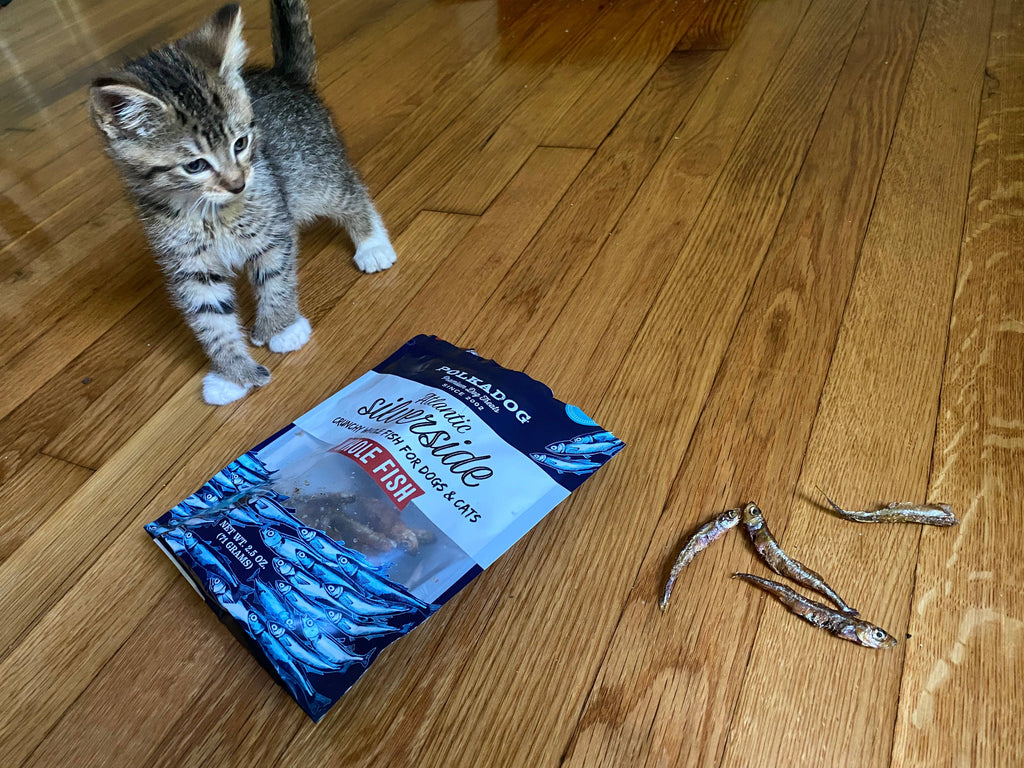 Silverside - 2.5oz - Dog & Cat Treats