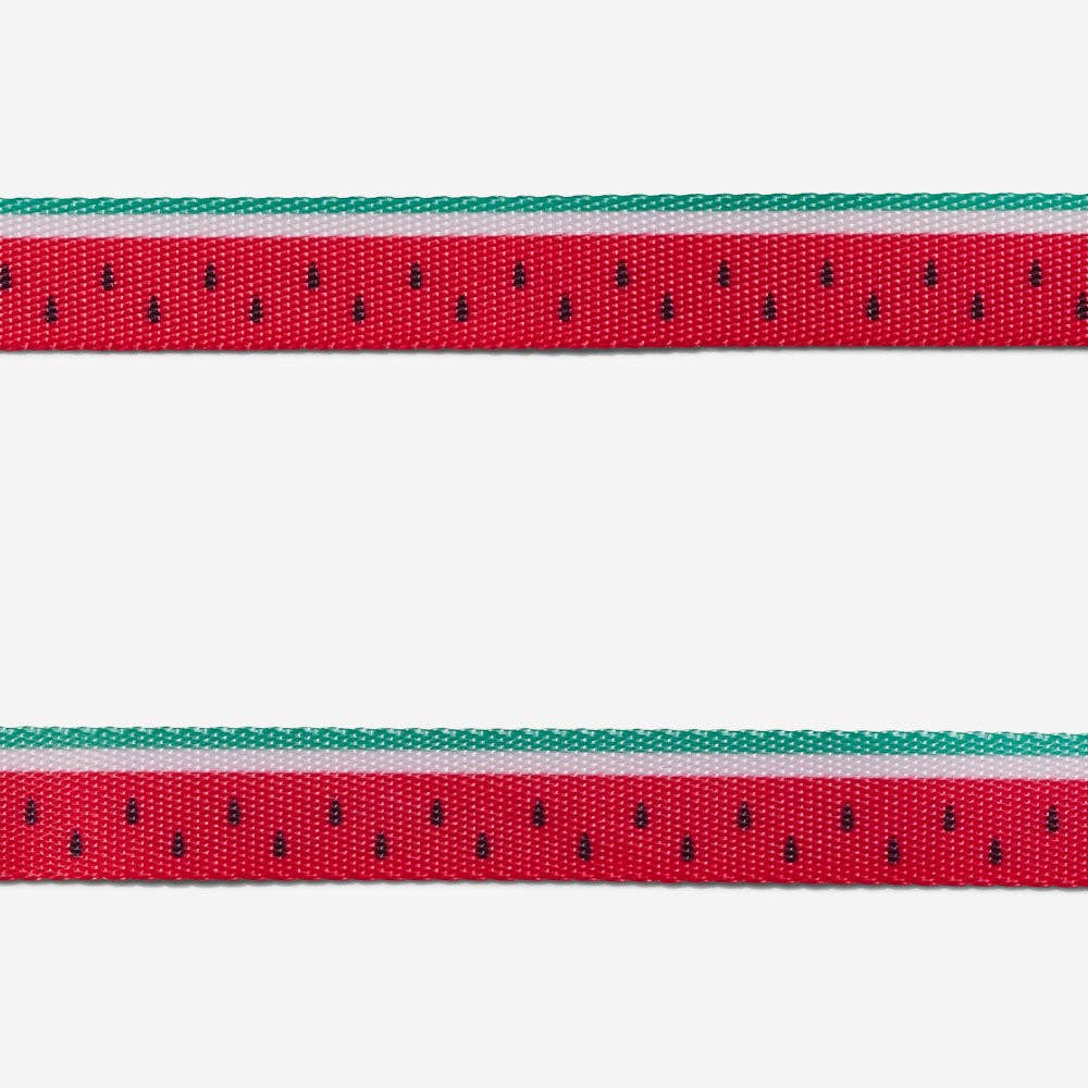 Lola | Dog Collar: Medium