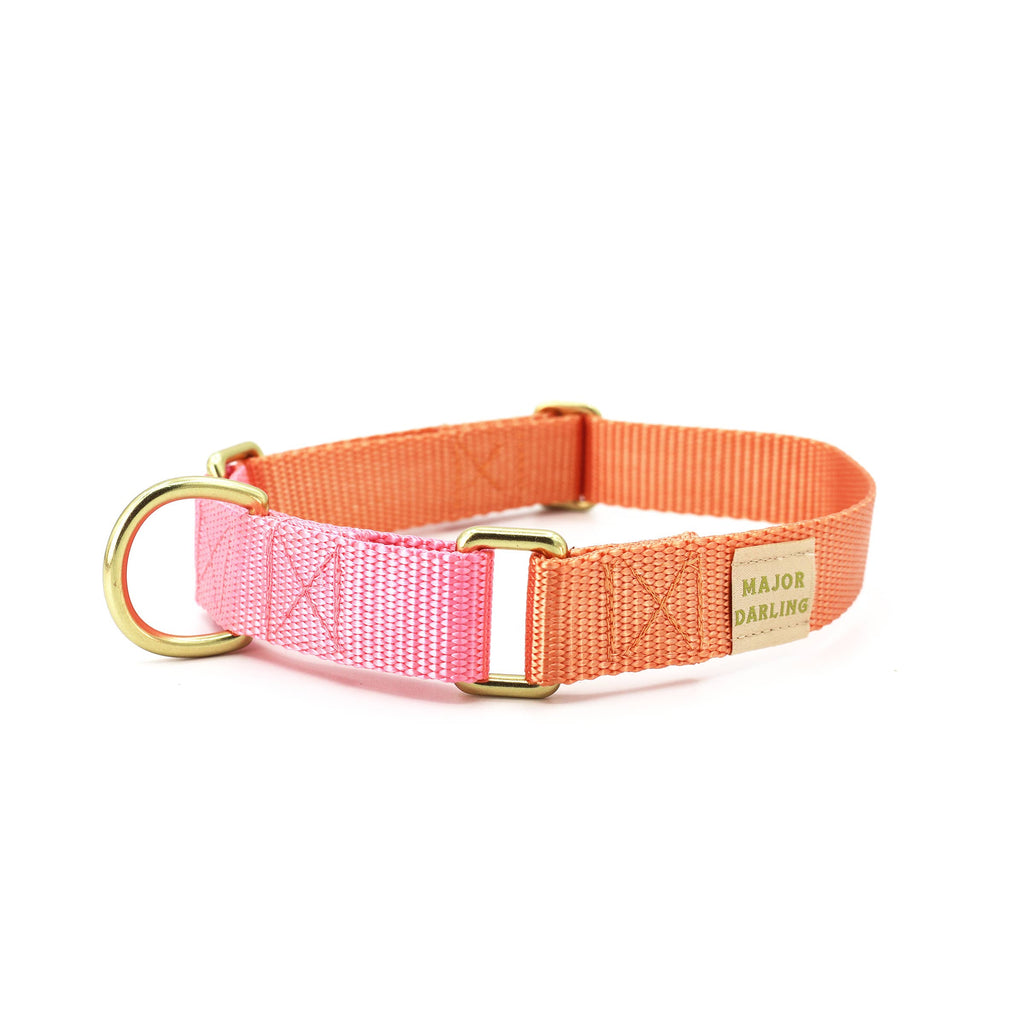 Martingale Collar / Peach + Pink: Large