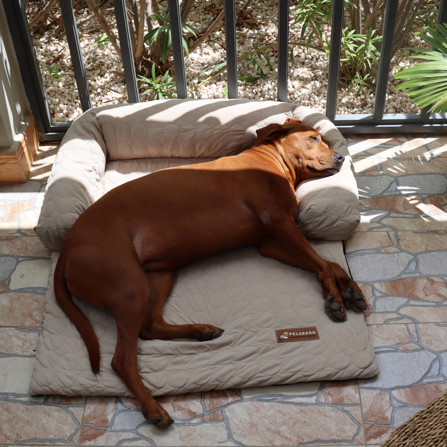 Cooling Dog Bed Heat Relief - Pelsbarn : Beige / M/L