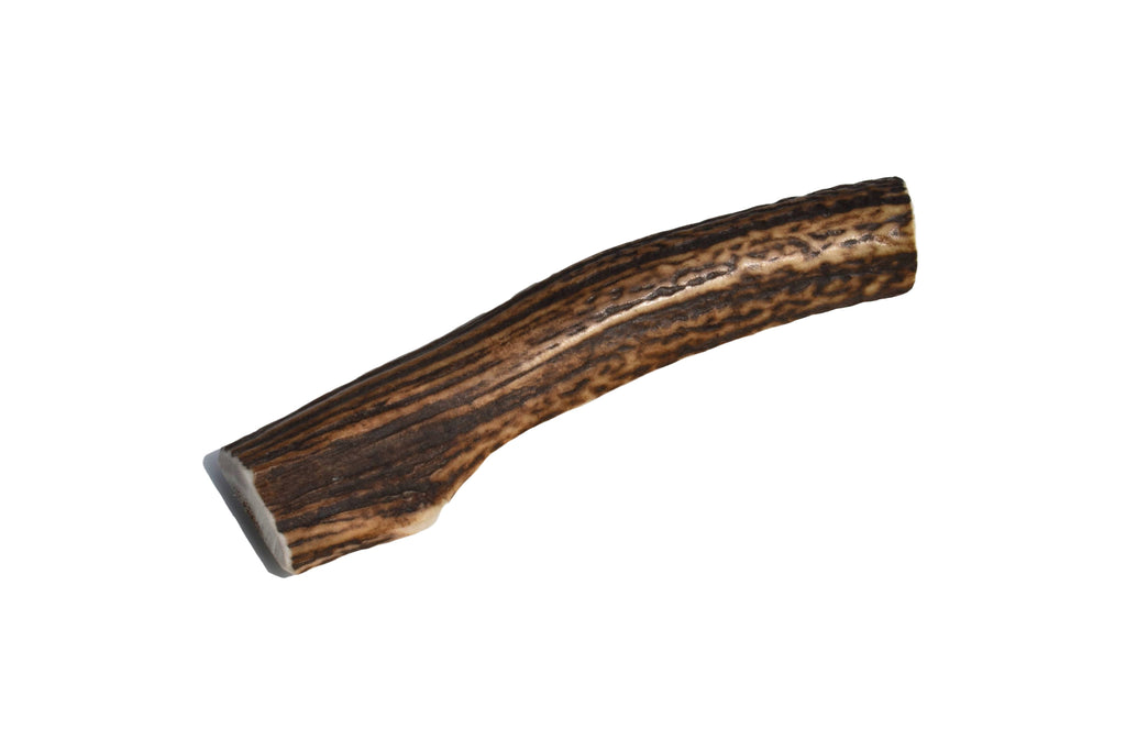 Elk Antler (Medium) - Split: Single