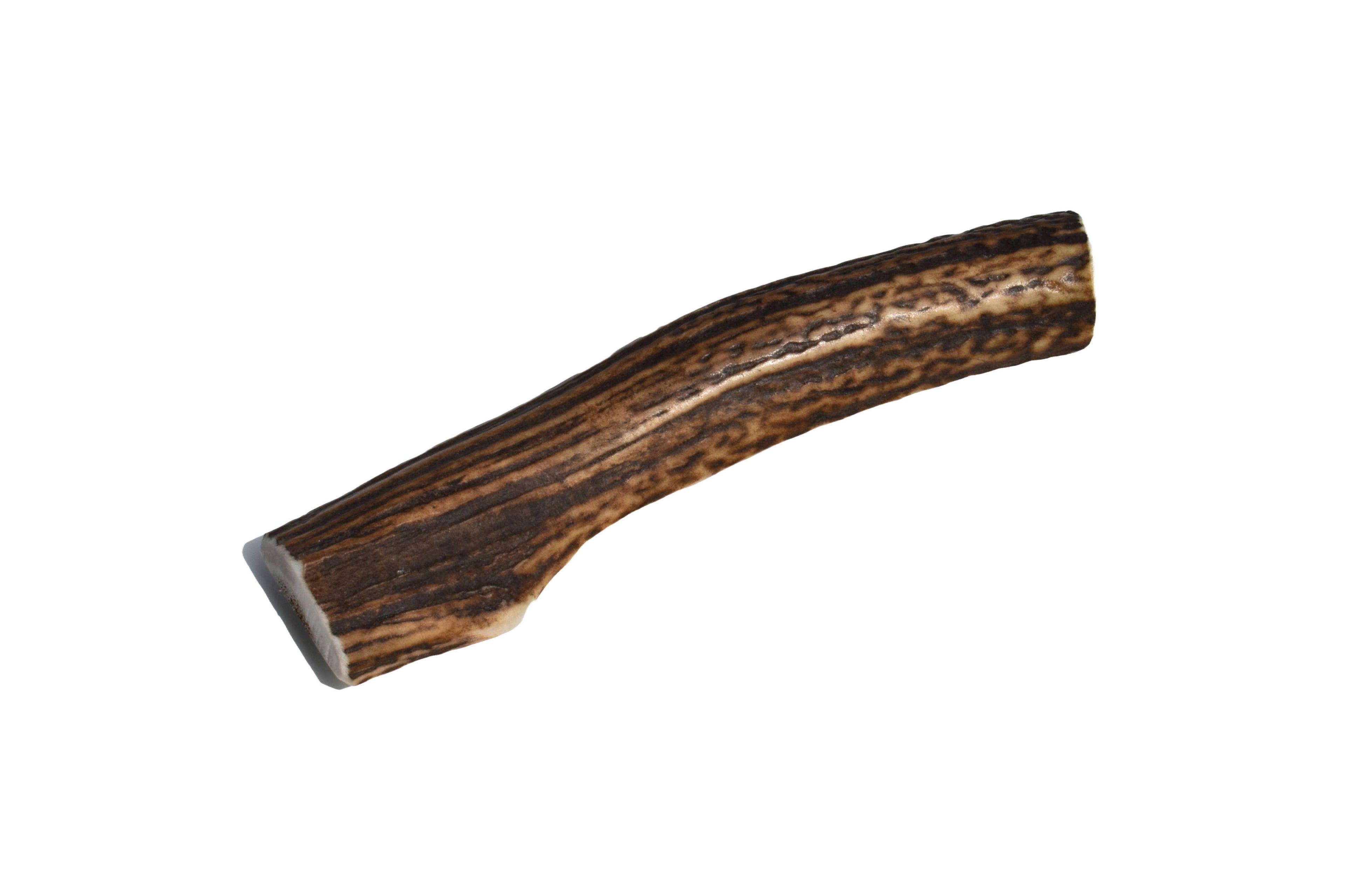 Elk Antler (Medium) - Split: Single