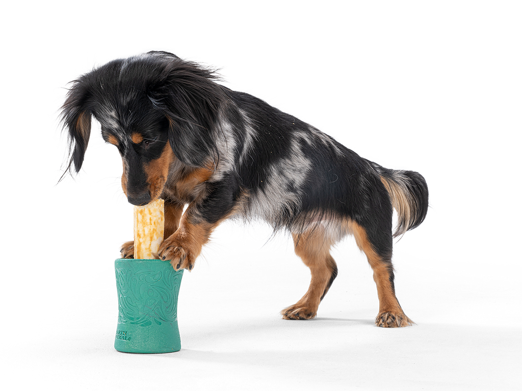 Funnl™ Dog Chew Treat-Dispensing Dog Toy
