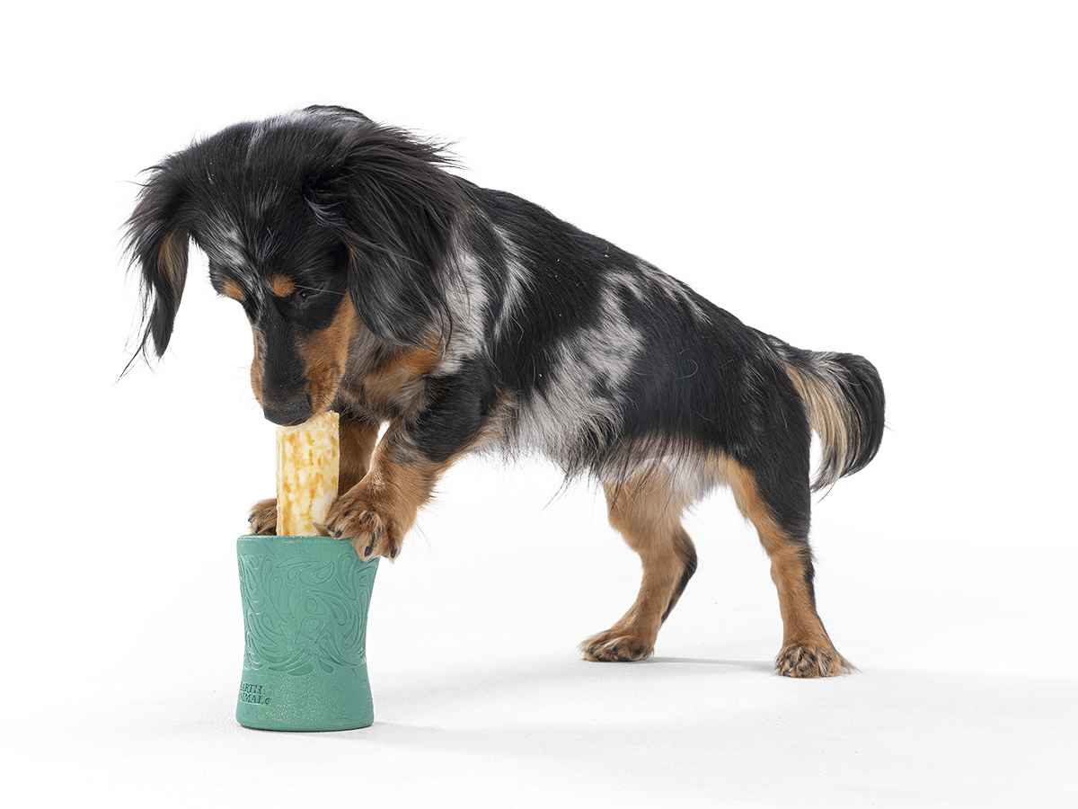 Funnl™ Dog Chew Treat-Dispensing Dog Toy