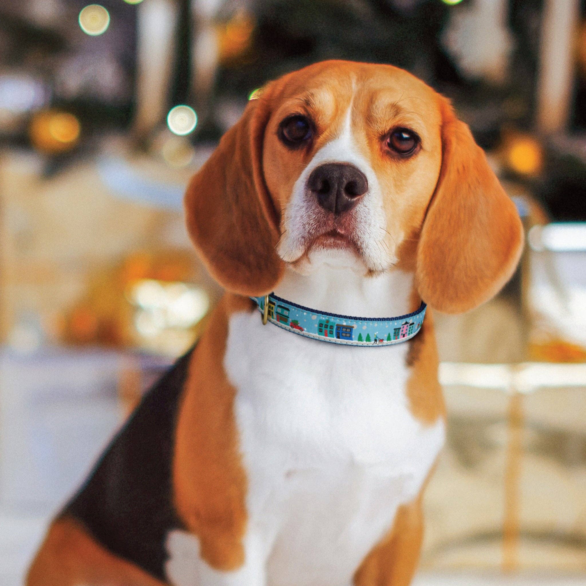 City Christmas Holiday Dog Collar: Small / Narrow