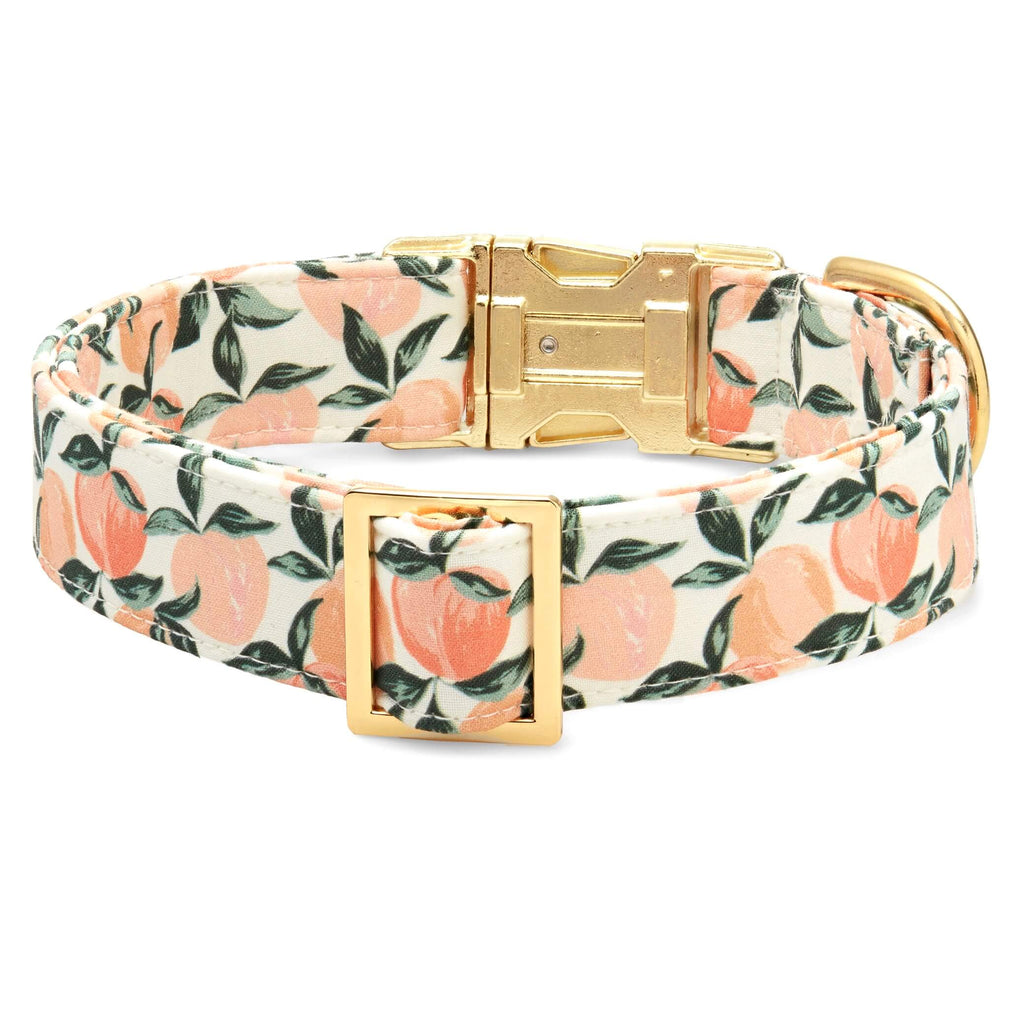 Peaches and Cream Dog Collar: S/ Gold