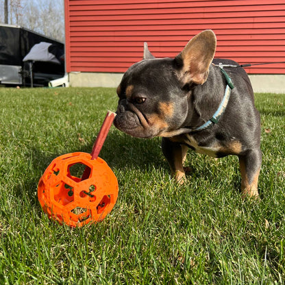GOAT Sport Flex-a-Ball Dog Toy