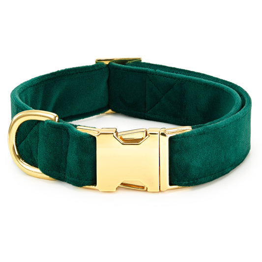 Forest Green Velvet Holiday Day Dog Collar: Gold