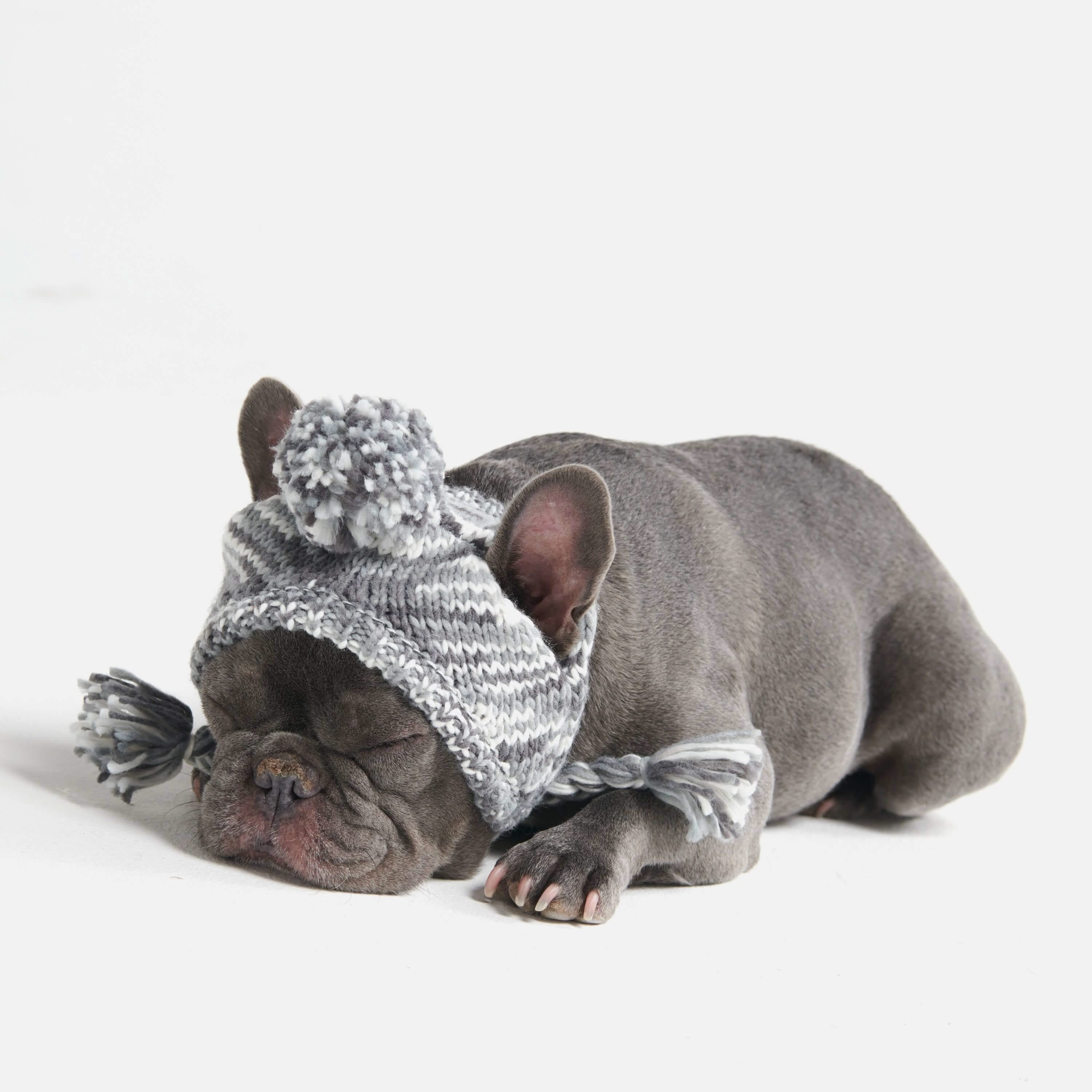 Knit Pom Pom Dog Beanie Hat - Salt and Pepper: S (10-15lbs/4.5-7kg)