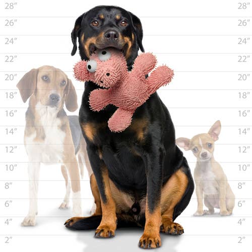 Mighty Microfiber Ball Pig, Durable, Squeaky Dog Toy - Large