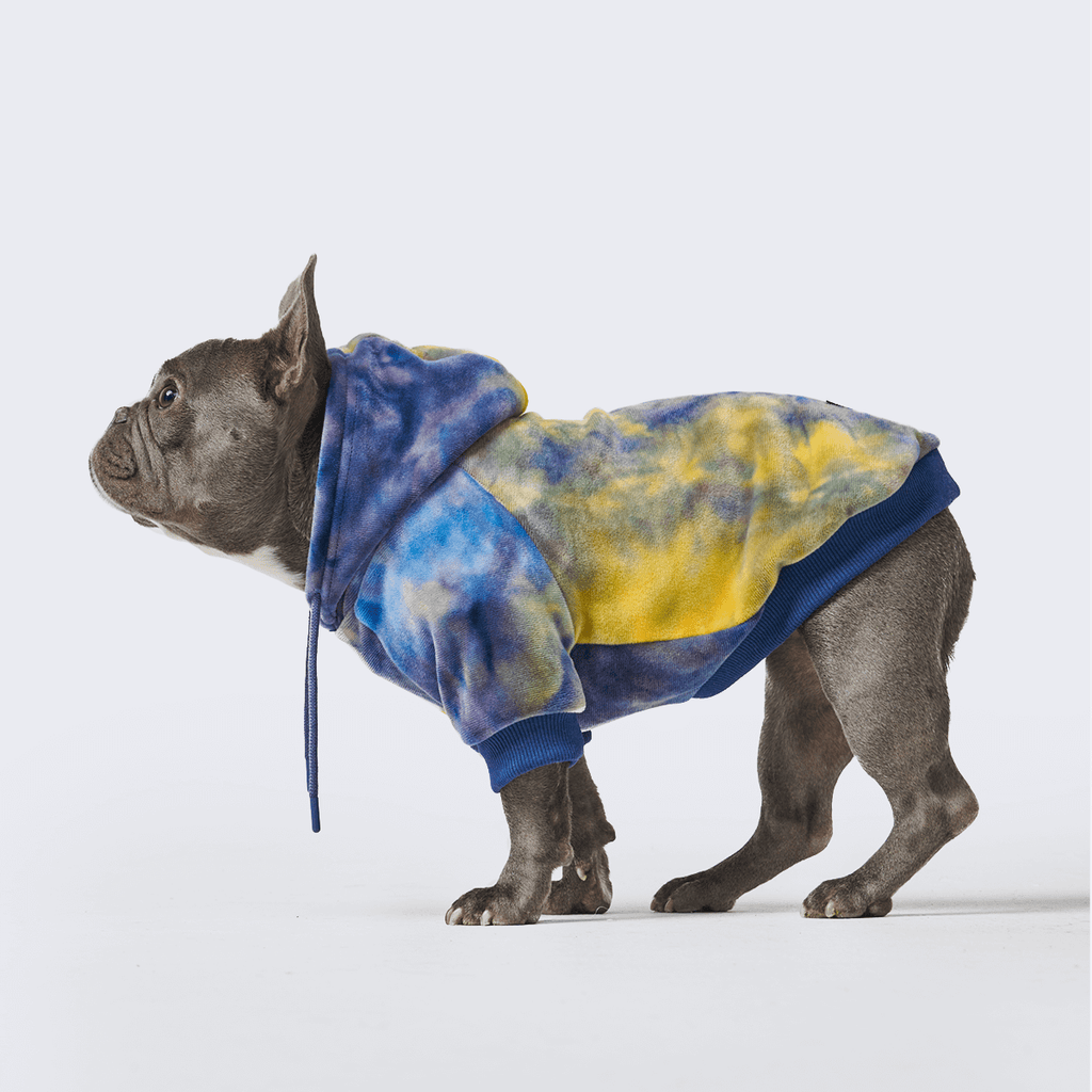 Velvet Dog Hoodie - Nova: 3XL