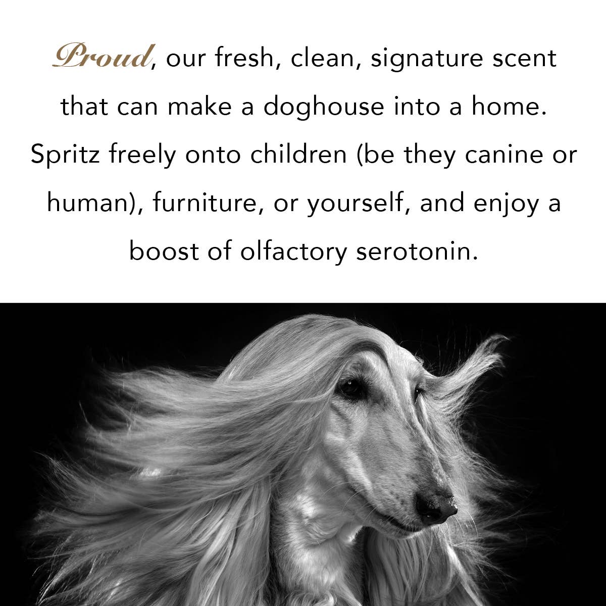 PROUD | THE SCENT