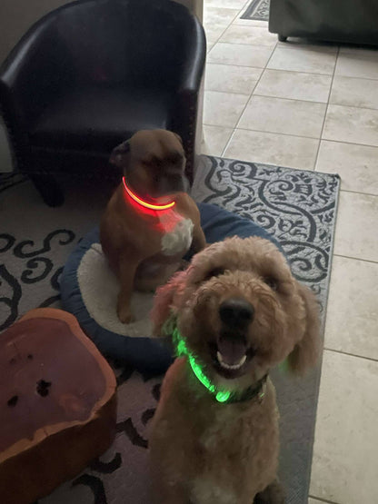 LED Dog Collar: Green