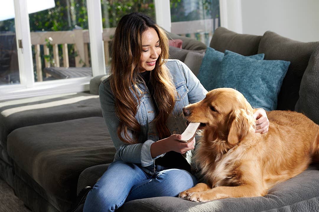 Elk Antler (XL) - Split: Single