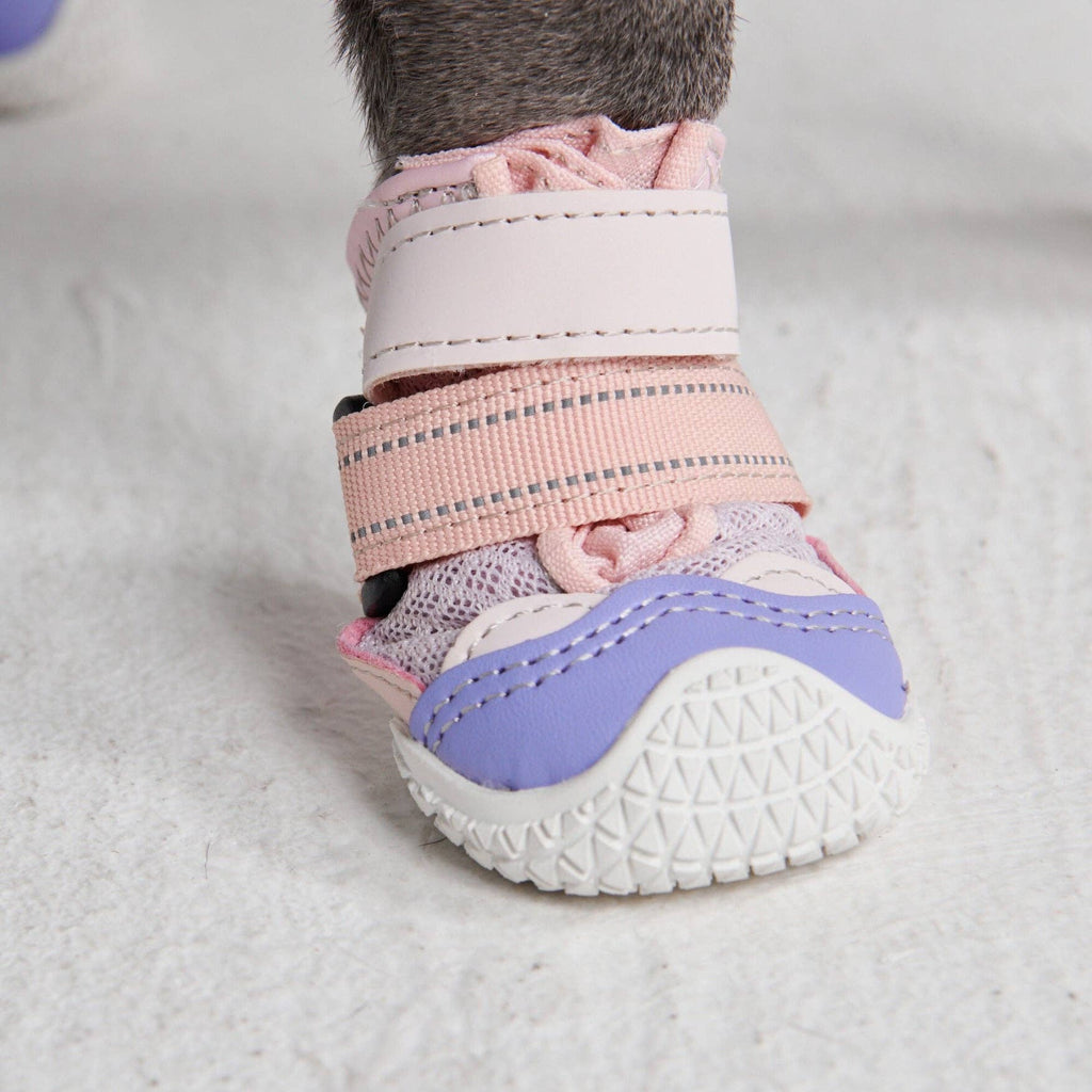 Hot Pavement Pawtector Dog Shoes - Pink Purple: B) Width: 2.0"/5.0cm for 23-33lbs/10-15kg