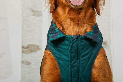 Black Watch Plaid Reversible Dog Jacket: Large